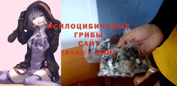молекула духа Балабаново